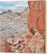 The Wall At Valley Of Fire Wood Print