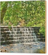 The Waterfall At Sesquicentennial State Park Wood Print