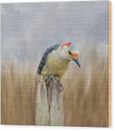The Woodpecker Wood Print