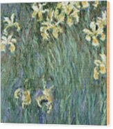 The Yellow Irises Wood Print