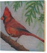The Young Cardinal Wood Print