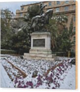 Theodoros Kolokotronis Statue With Snow Wood Print