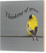 Thinking Of You - American Goldfinch Wood Print