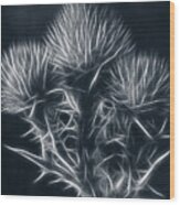 Thistle Abstract Bw2 Wood Print