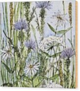 Thistles Daisies And Wildflowers Wood Print
