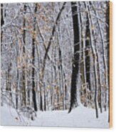 Three Creeks Conservation Area - Winter Wood Print