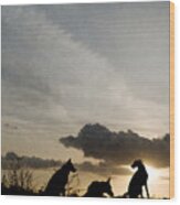 Three Dogs At Sunset Wood Print