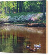 Three Ducks At The Azalea Pond Wood Print