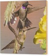 Three Hummingbirds Wood Print
