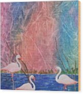 Three Pink Flamingos Wood Print