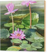 Three Pink Water Lilies With Pads Wood Print