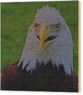 Thunder Eagle Wood Print