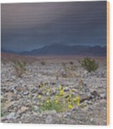 Thunderstorm Over Death Valley National Park Wood Print