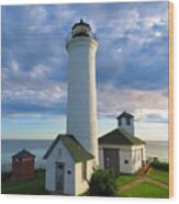 Tibbetts Point Lighthouse In June Wood Print