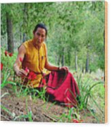 Tibetan Doctor In Lahav Forest Wood Print