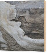 Tidal  Wood - 1491 Wood Print