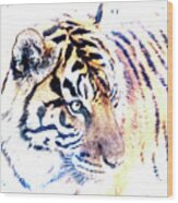 Tiger Abstract Wood Print