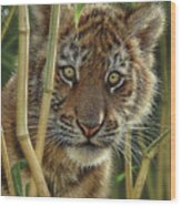 Tiger Cub - Discovery Wood Print