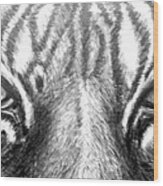 Tiger Eye82115 Wood Print