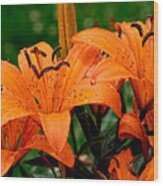Tiger Lilies With Spring Shower Wood Print