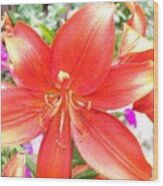 Tiger Lily Wood Print