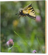 Tiger Swallowtail Butterfly In Flight Wood Print