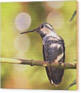 Tiny Bird Upon A Branch Wood Print