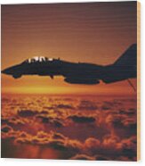 Tomcat Sunrise Wood Print