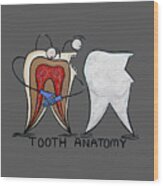 Tooth Anatomy T-shirt Wood Print