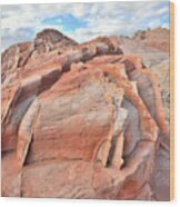 Top Of The World At Valley Of Fire Wood Print