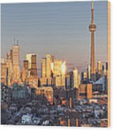 Toronto Panoramic View Wood Print