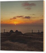 Torrey Pine Glider Port Sunset Wood Print