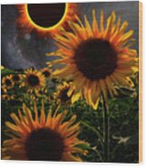 Total Eclipse Of The Sun Over The Sunflowers Wood Print
