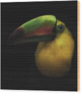 Toucan On Black Wood Print