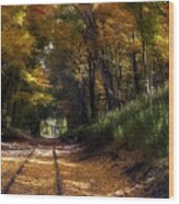 Tracks To Autumn Wood Print