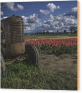 Tractor N' Tulips Wood Print