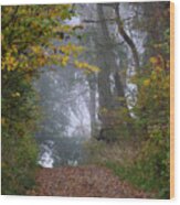Trail In Morning Mist Wood Print