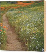 Trail Of Wildflowers At Diamond Lake In California Wood Print