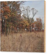 Trail Through The Autumn Prairie Wood Print