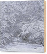 Trailhead Snowscape Wood Print