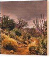 Traveling The Trail At Red Rocks Canyon Wood Print