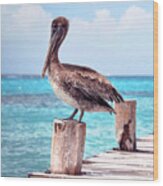 Treasure Coast Pelican Pier Sunrise Seascape C2 Wood Print