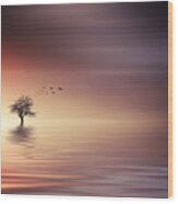 Tree And Birds On Lake Sunset Wood Print