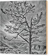 Tree And Rocks In The Blue Ridge Near Sunset Bw Wood Print