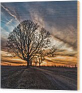 Tree At Sunset-eaton Rapids Wood Print