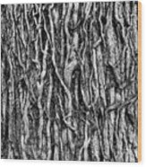 Tree Bark Abstract Wood Print