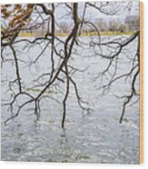 Tree Branches Over Lake Wood Print