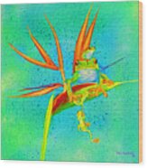 Tree Frog On Birds Of Paradise Square Wood Print