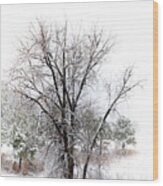 Tree In A Snowstorm Wood Print