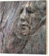 Tree Memories # 10 Wood Print